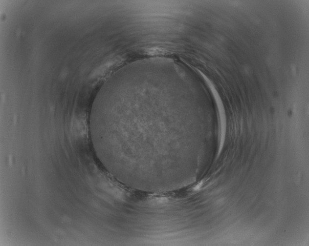 X0000074040620200608281446