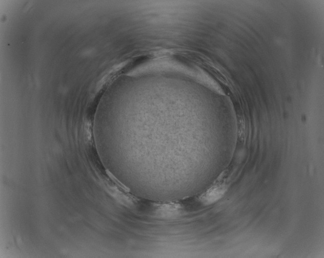 X0000074040621200608281446