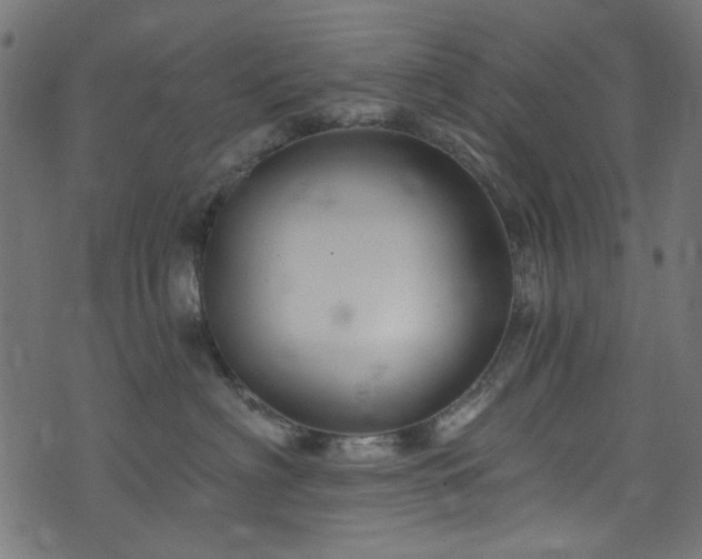 X0000074040622200608281446