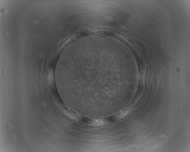 X0000074040623200608281446