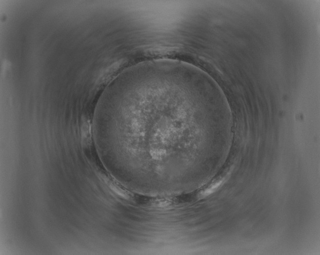 X0000074040624200608281446