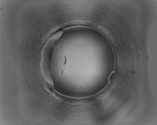 X0000074040625200608281445