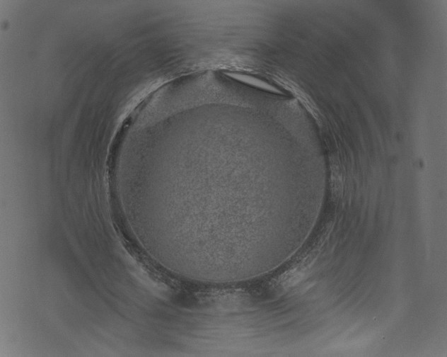 X0000074040626200608281445