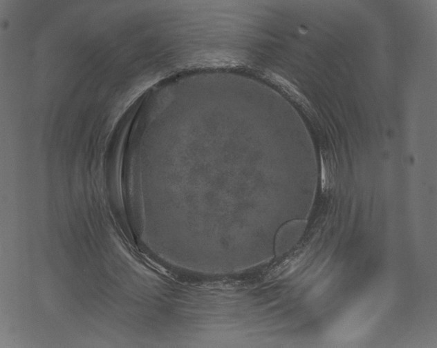 X0000074040627200608281445