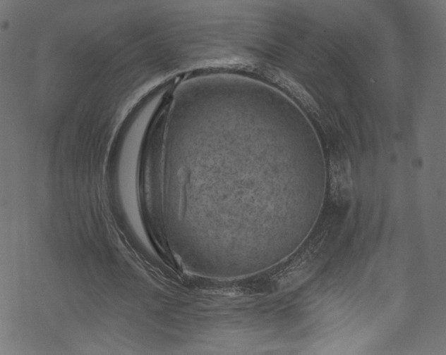 X0000074040628200608281445