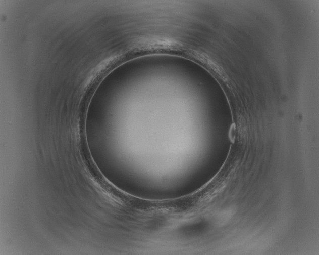 X0000074040629200608281445