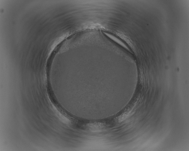 X0000074040630200608281445