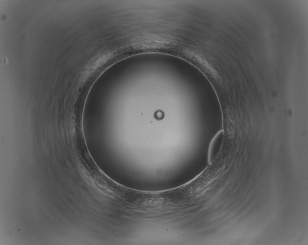 X0000074040631200608281445