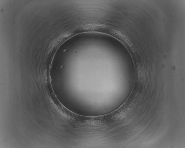 X0000074040633200608281445