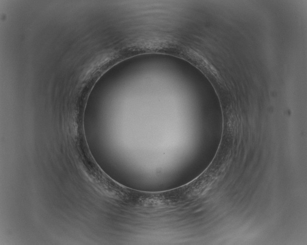 X0000074040635200608281445