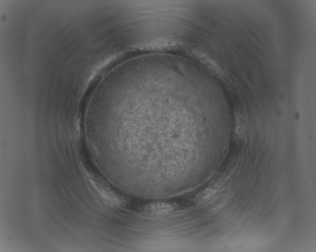 X0000074040636200608281445