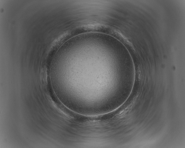 X0000074040637200608281445