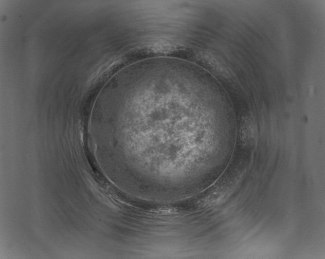 X0000074040639200608281445