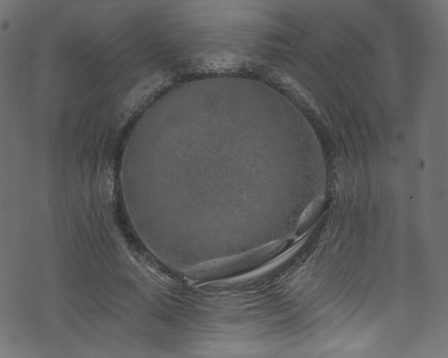 X0000074040640200608281445