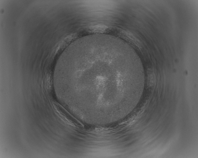 X0000074040641200608281445