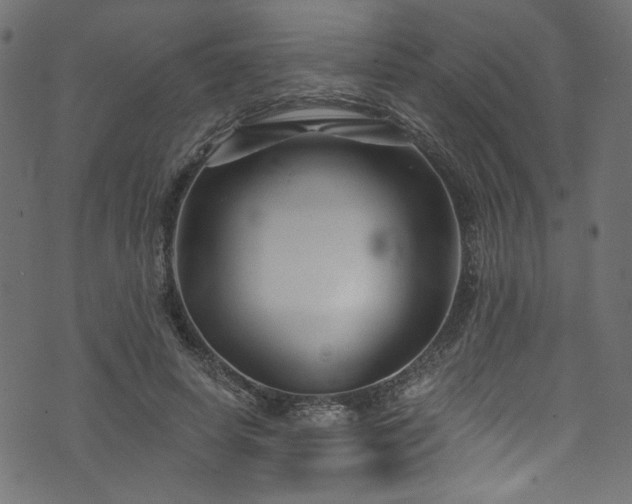 X0000074040642200608281445