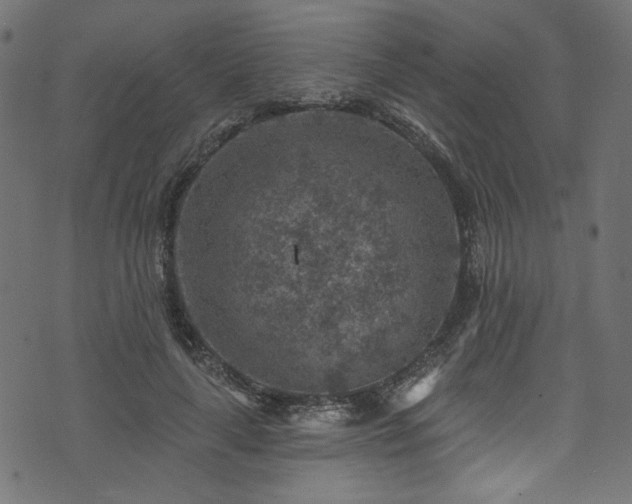 X0000074040643200608281446