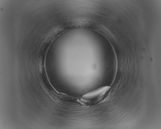 X0000074040644200608281446