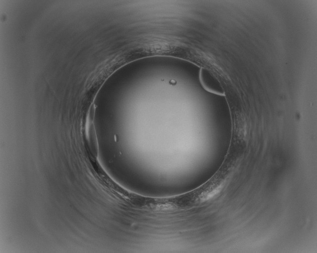 X0000074040645200608281446