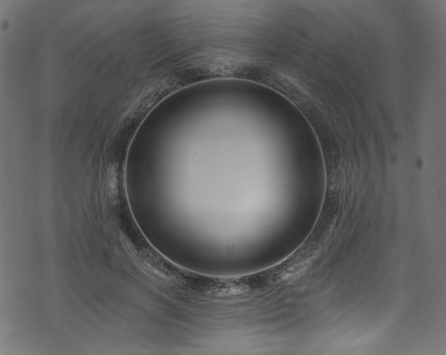 X0000074040646200608281446