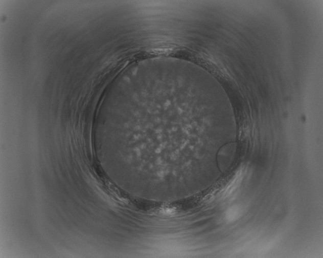 X0000074040647200608281446