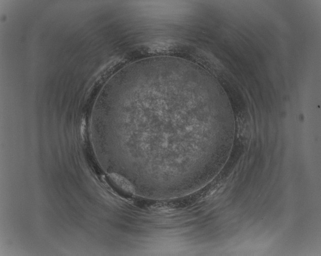 X0000074040648200608281446