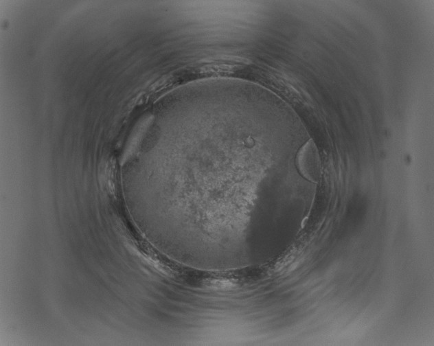 X0000074040649200608281446