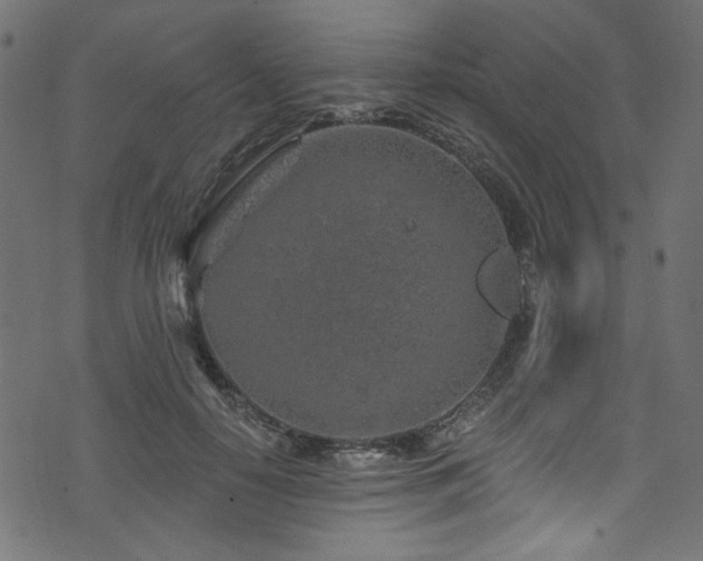 X0000074040650200608281446