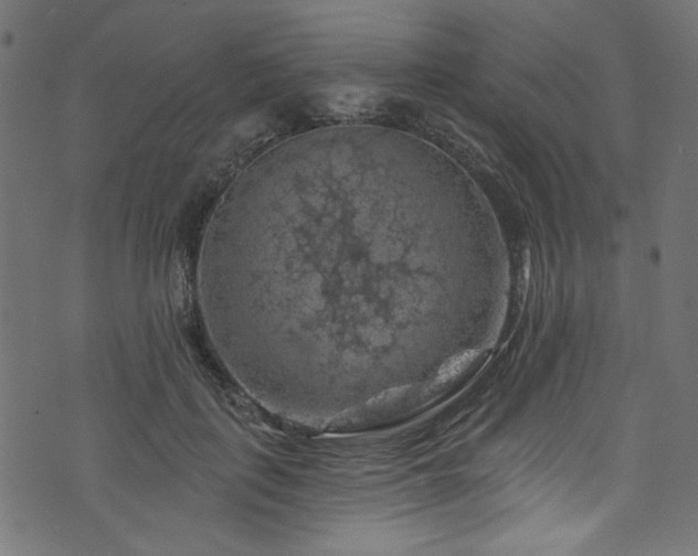 X0000074040651200608281446