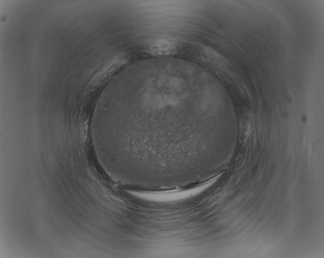 X0000074040652200608281446