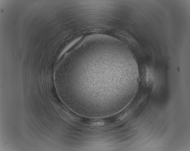 X0000074040653200608281446