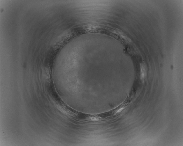 X0000074040654200608281446