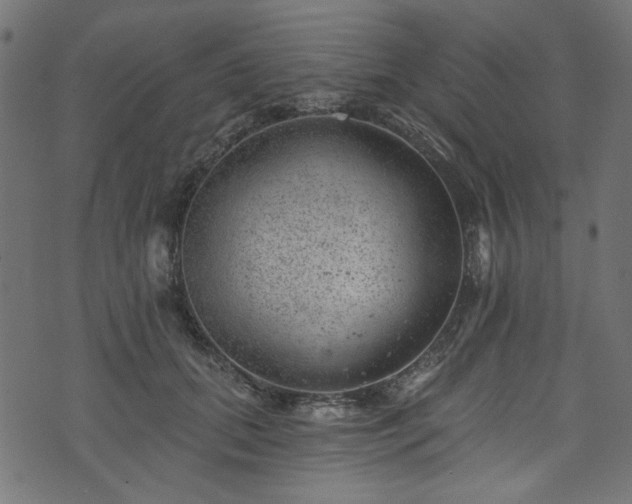 X0000074040655200608281446