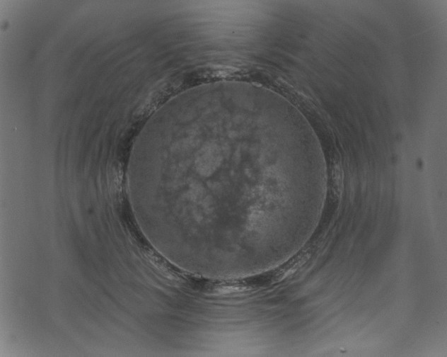 X0000074040657200608281446