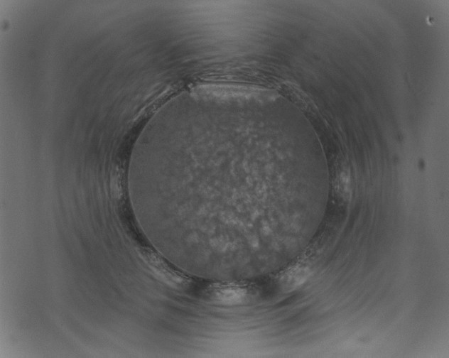 X0000074040658200608281446