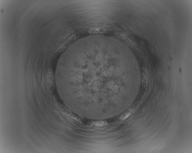 X0000074040659200608281446