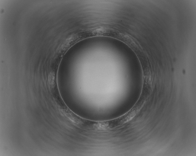 X0000074040660200608281446