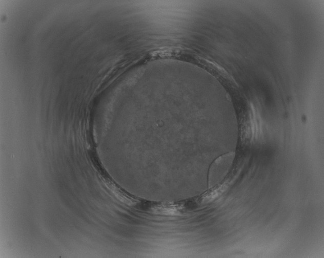 X0000074040661200608281446