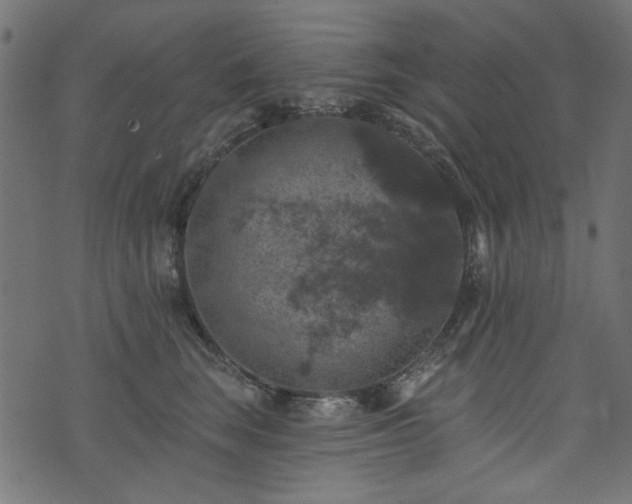 X0000074040663200608281446