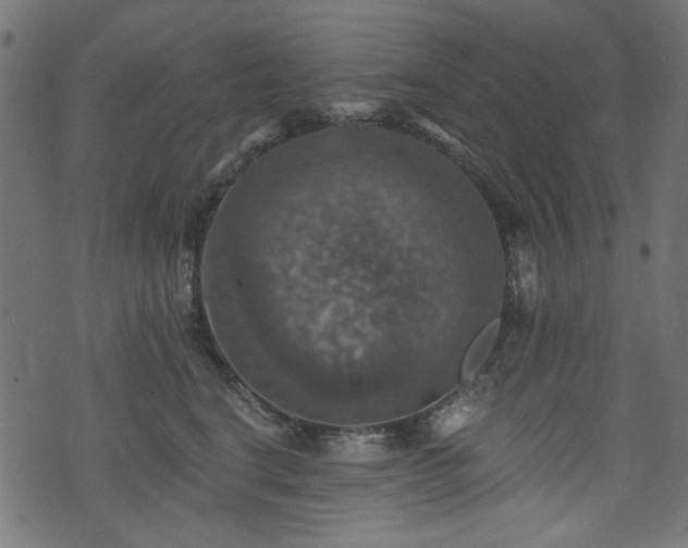 X0000074040664200608281446