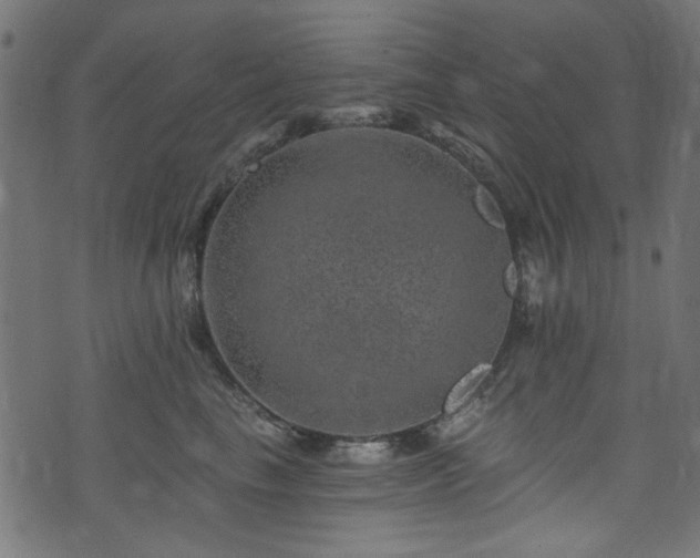 X0000074040665200608281446