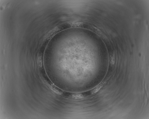 X0000074040666200608281446