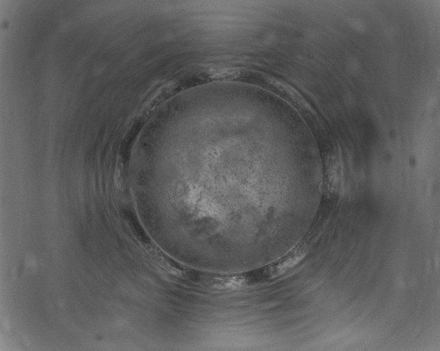 X0000074040667200608281446