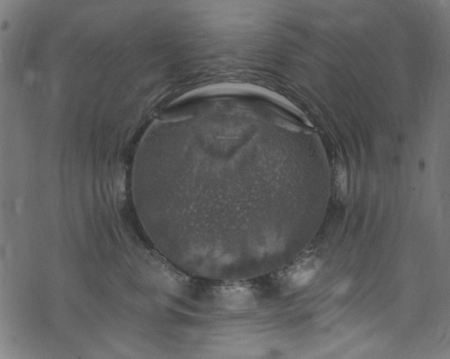 X0000074040668200608281446