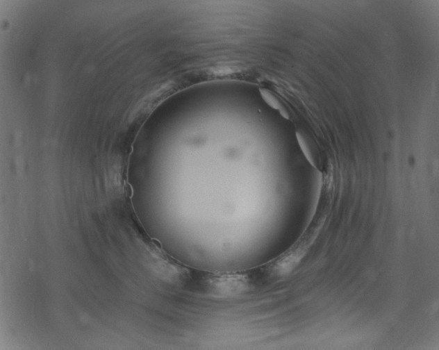 X0000074040670200608281446