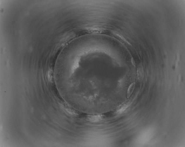 X0000074040671200608281446