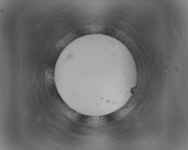 X0000074040672200608281446