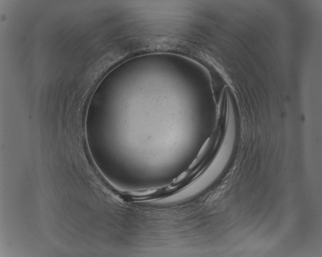 X0000074040673200608281445