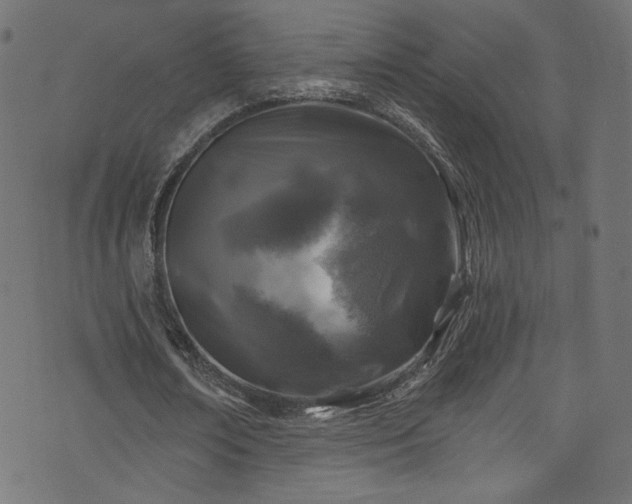 X0000074040674200608281445