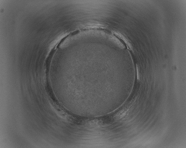 X0000074040675200608281445